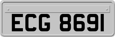 ECG8691