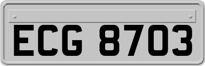 ECG8703