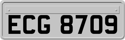 ECG8709