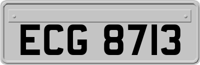 ECG8713