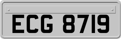 ECG8719