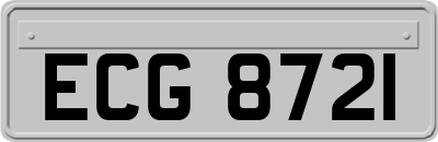 ECG8721