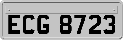 ECG8723