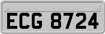 ECG8724