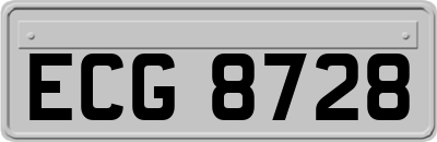 ECG8728