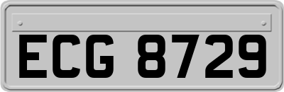 ECG8729