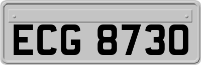 ECG8730