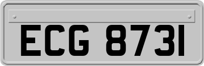 ECG8731