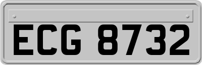 ECG8732