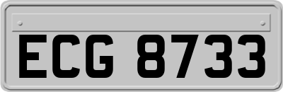 ECG8733