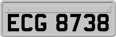 ECG8738