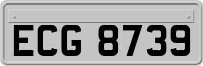 ECG8739