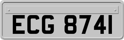 ECG8741