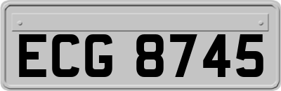 ECG8745
