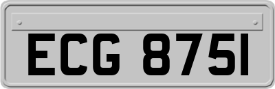 ECG8751