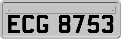 ECG8753