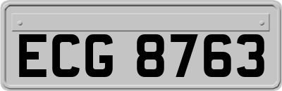 ECG8763