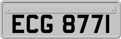 ECG8771