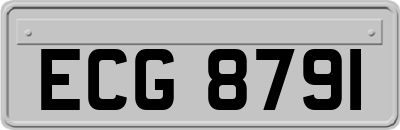 ECG8791