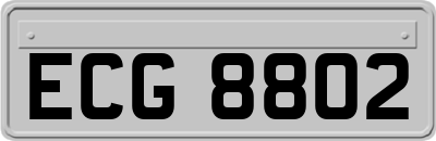 ECG8802