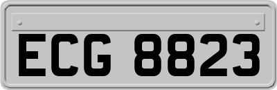ECG8823