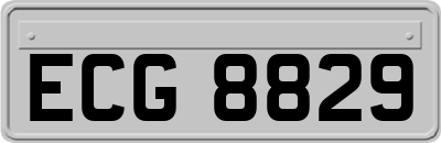 ECG8829