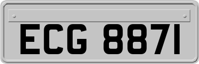 ECG8871