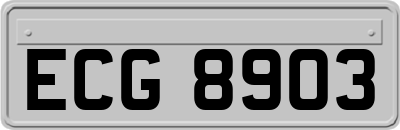 ECG8903
