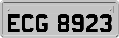 ECG8923