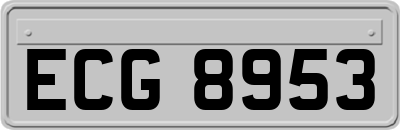 ECG8953