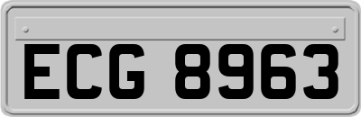 ECG8963