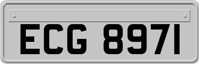 ECG8971