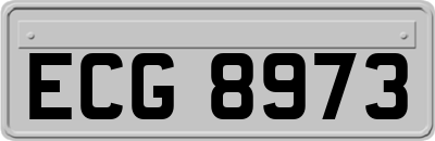 ECG8973