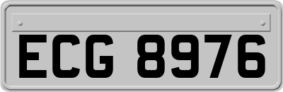 ECG8976