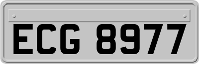 ECG8977