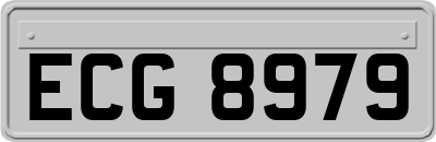 ECG8979