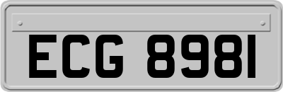 ECG8981