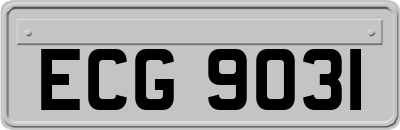ECG9031