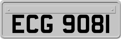 ECG9081
