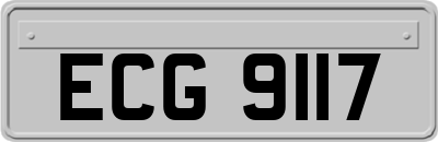 ECG9117