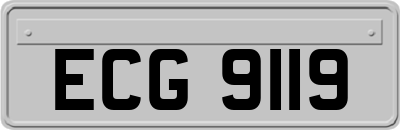 ECG9119