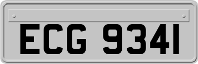 ECG9341