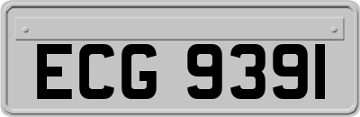 ECG9391