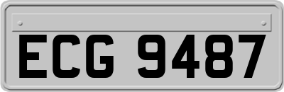 ECG9487