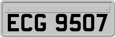 ECG9507
