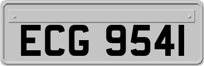 ECG9541