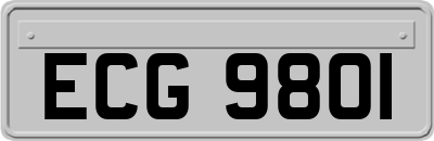 ECG9801