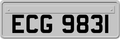 ECG9831