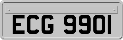 ECG9901