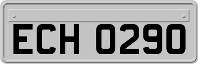 ECH0290